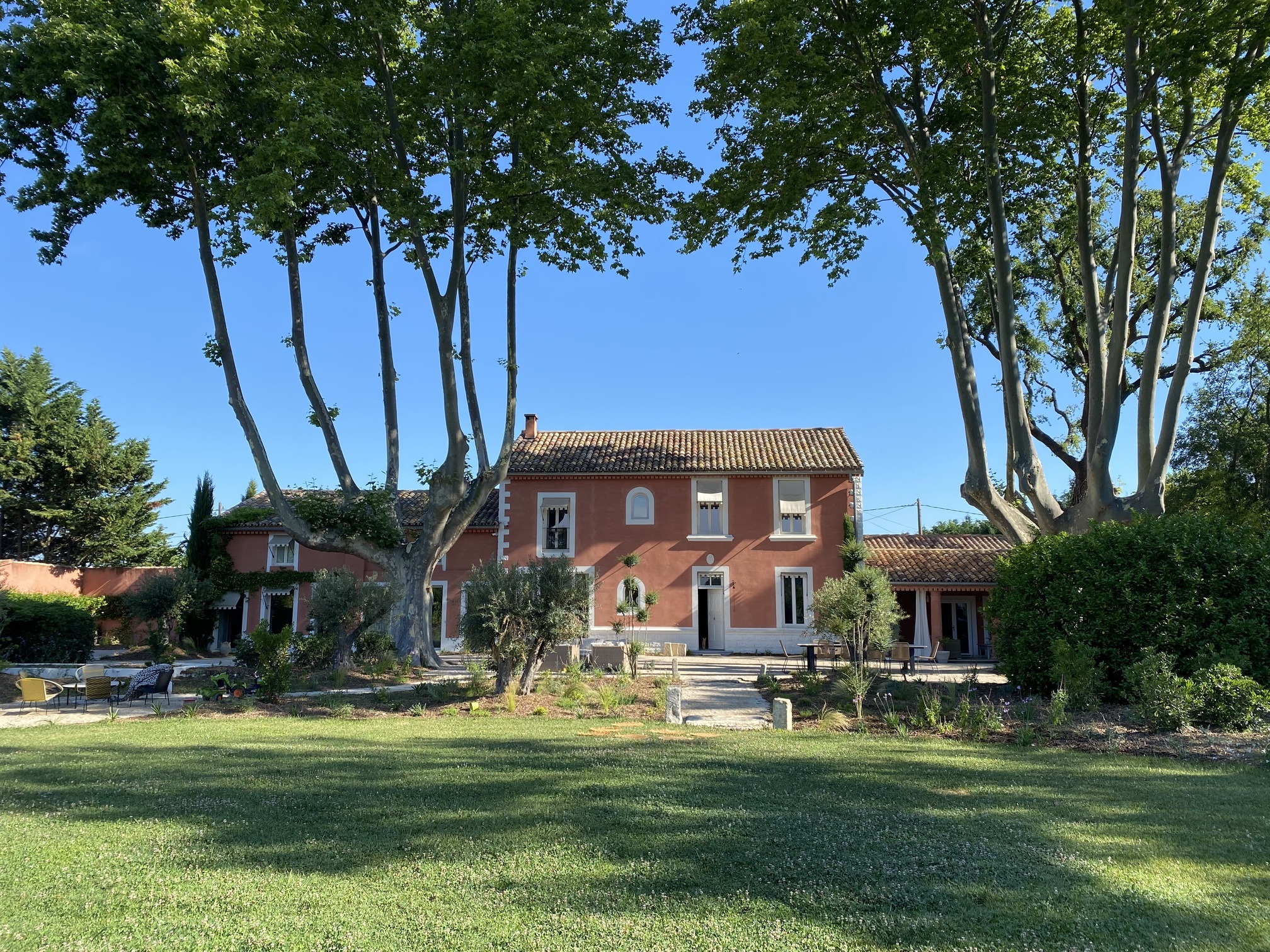 view from the garden